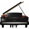 YAMAHA C1X PE