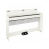 KORG C1 AIR WH SET