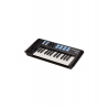 Alesis V25 MKII