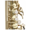 Classic Cantabile Winds AS-450 Brushed Alto Saxophone