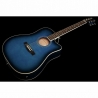 Harley Benton D-120CE TB Bundle