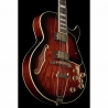Ibanez AG95QA-DBS