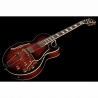 Ibanez AG95QA-DBS