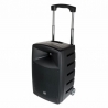 LD Systems Road Buddy 10 B6