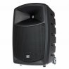 LD Systems Road Buddy 10 B6