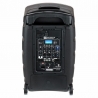 LD Systems Road Buddy 10 B6