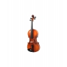 Hora 1/4 Economy Standard Vioara