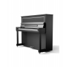 Pearl River PH3/A111 Pianina Black