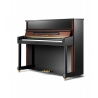 Pearl River PE121/A2Z2 Pianina