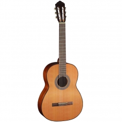 Cort AC100-SG