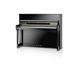 Schimmel F116 Tradition Bk