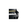 Schimmel C116 Tradition Bk