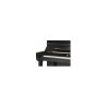 Schimmel W123 Tradition Bk