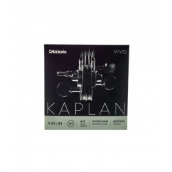 Kaplan KV310-4/4M Vivo Violin Medium