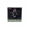 Kaplan KV310-4/4M Vivo Violin Medium