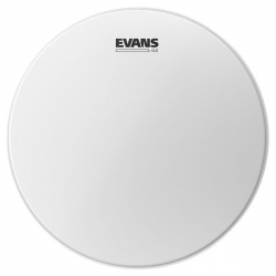 Evans 12" G2 Coated Tom