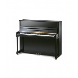 Pearl River EU122/A111 Pianina