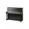 Pearl River EU122/A111 Pianina