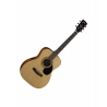 Cort AF510E OP