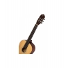 Ortega RST5M