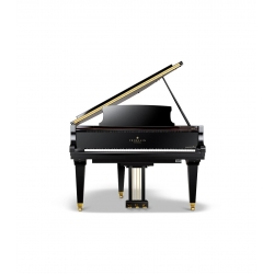Schimmel F156 Tradition