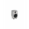 Genelec 8030 RAW