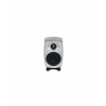 Genelec 8020 RAW