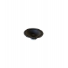 Alto 80150064-A 10" Woofer