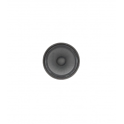 Alto 80150067-A 10" Woofer