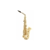 Buffet Crampon Prodige BC8301-1-0GB