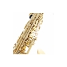Buffet Crampon Prodige BC8301-1-0GB