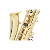 Buffet Crampon Prodige BC8301-1-0GB