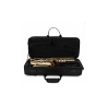 Buffet Crampon Prodige BC8301-1-0GB
