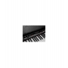 Korg LP-380U RWBK