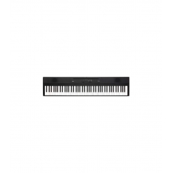 Korg Liano