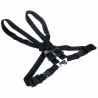 BG France S41M Strap Ladies