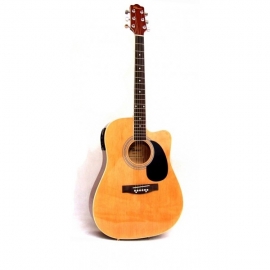 Flame Pro DG 200 CE N