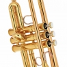 Yamaha YTR-6335RC