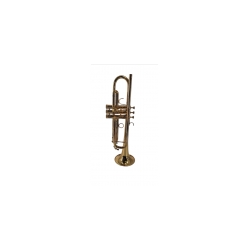 Selmer Concept TTM SH