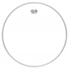 Remo Encore 8" Ambassador clear