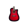Flame ED14 RDS T5E