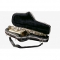 GATOR ABS DELUXE PENTRU SAXOFON ALTO