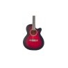 Flame EA10 RDS