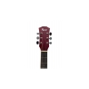 Flame EA10 RDS