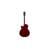 Flame EA10 RDS