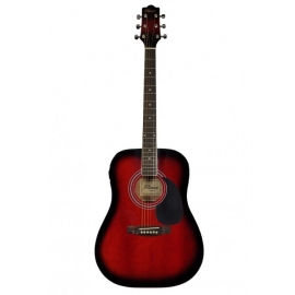 Flame DG 200 RDS