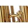 TH Bb- Tuba Student TA Compact