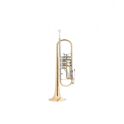 Classic Cantabile TR 43G