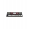 Korg PA-700 Oriental