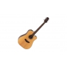 Takamine GD20CE-N